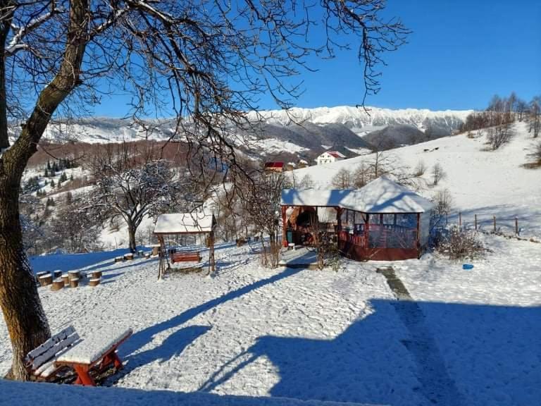 Nona Highland Home Moieciu de Jos Buitenkant foto