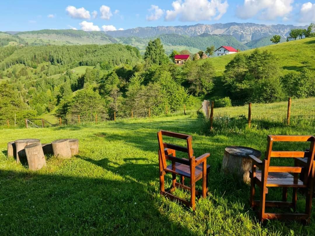 Nona Highland Home Moieciu de Jos Buitenkant foto