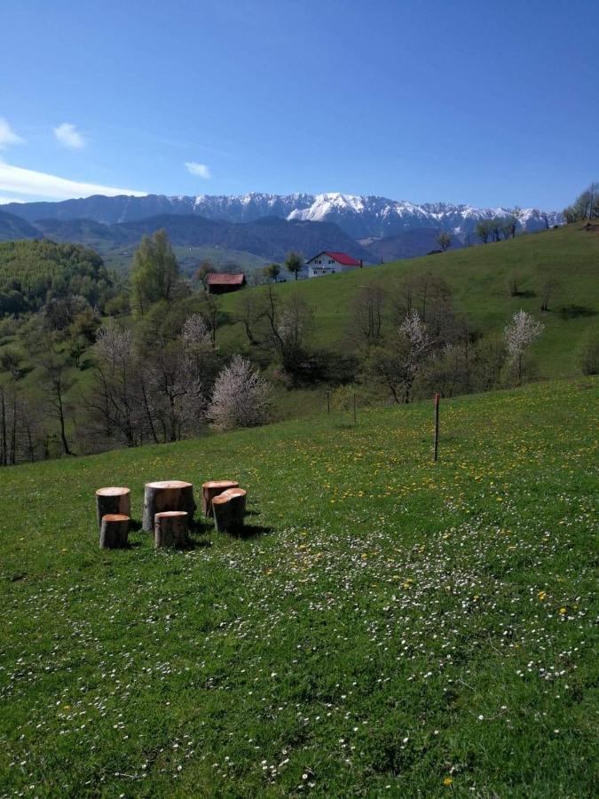 Nona Highland Home Moieciu de Jos Buitenkant foto